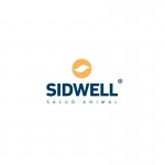 Diseño de marca – Sidwell